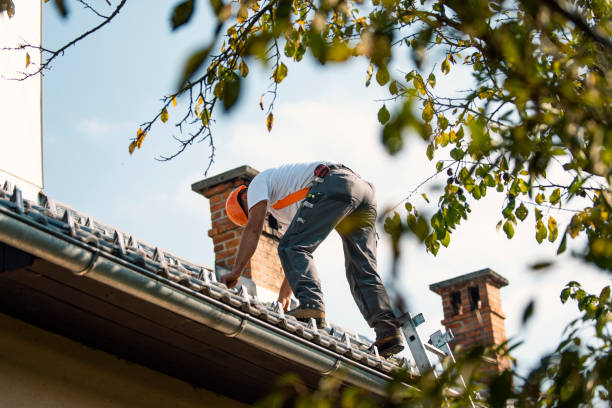 Best Metal Roofing Contractor  in Frankfort Square, IL