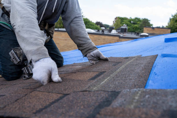 Best Local Roofing Companies  in Frankfort Square, IL