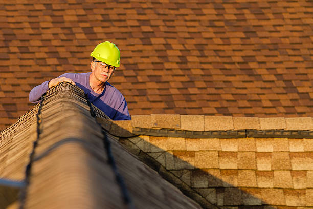 Best Roof Maintenance Services  in Frankfort Square, IL