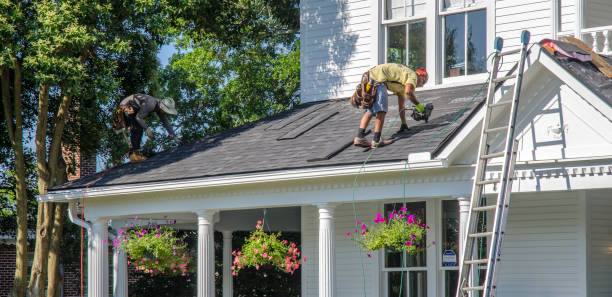 Best Roof Gutter Cleaning  in Frankfort Square, IL